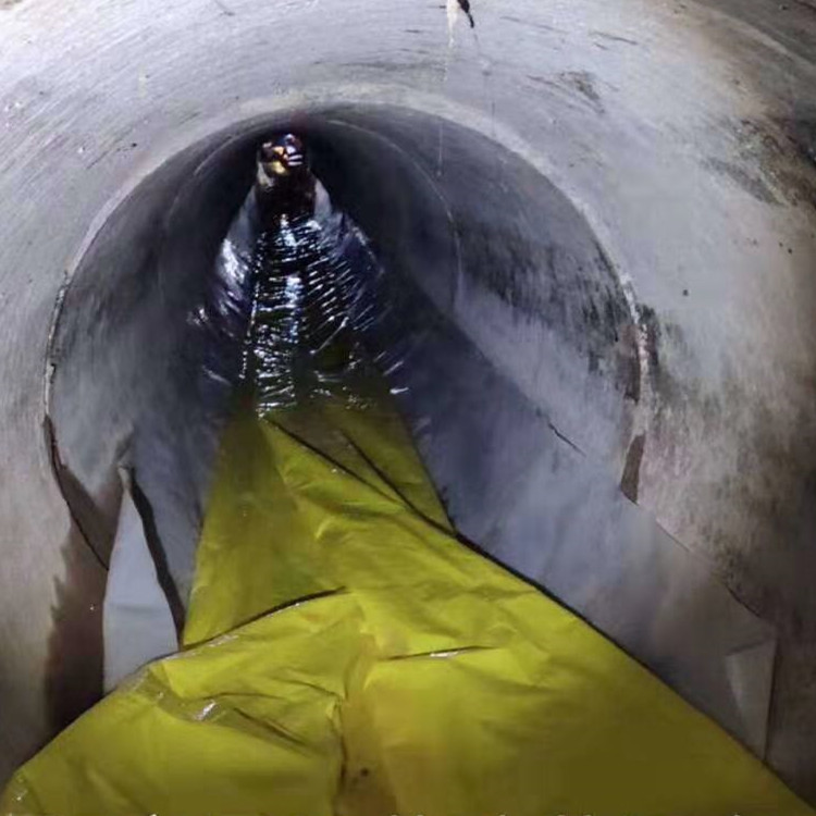 仁化管道光固化修复